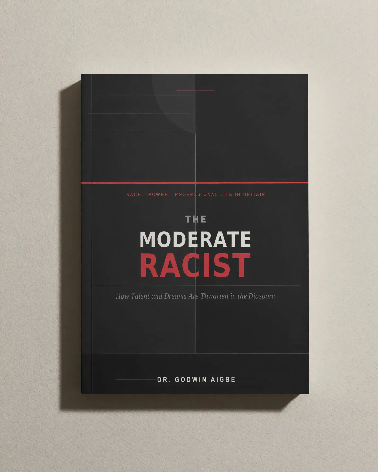 Front cover of THE MODERATE RACIST by Dr Godwin Aigbe